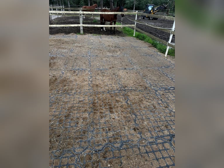 Drainagematte ECO Large – für Stallungen, Paddocks & Parkplätze