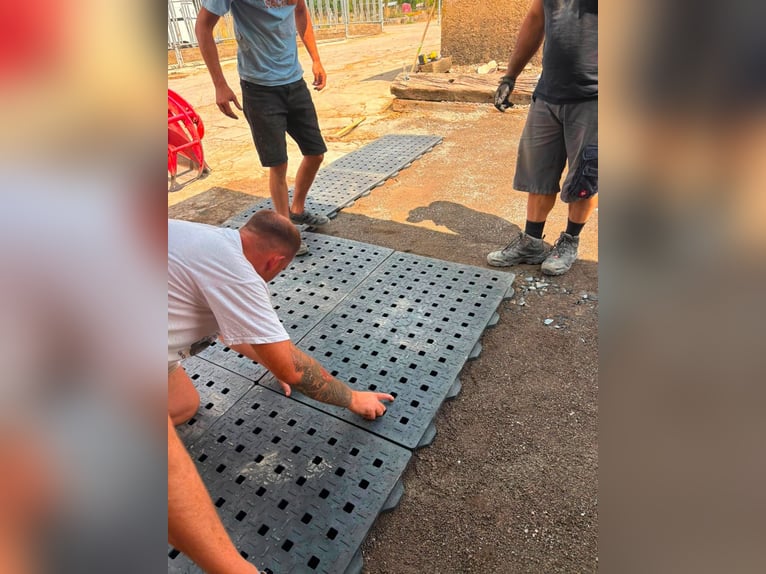 Drainagematte ECO Large – für Stallungen, Paddocks & Parkplätze