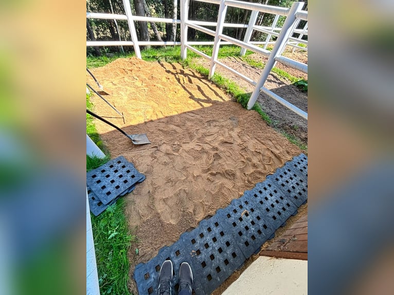 Drainagematte ECO Large – für Stallungen, Paddocks & Parkplätze