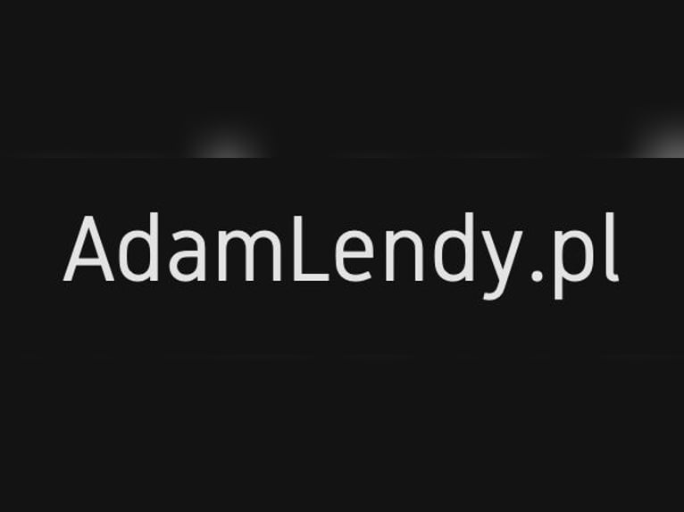 Ubezpieczenia dla świata jeździeckiego – od AdamLendy.pl! 