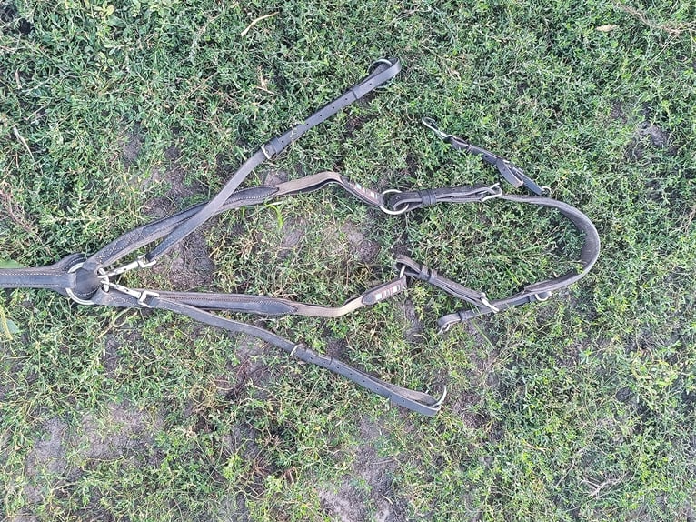 Wytok z napierśnikiem Voltaire Design Breastplate