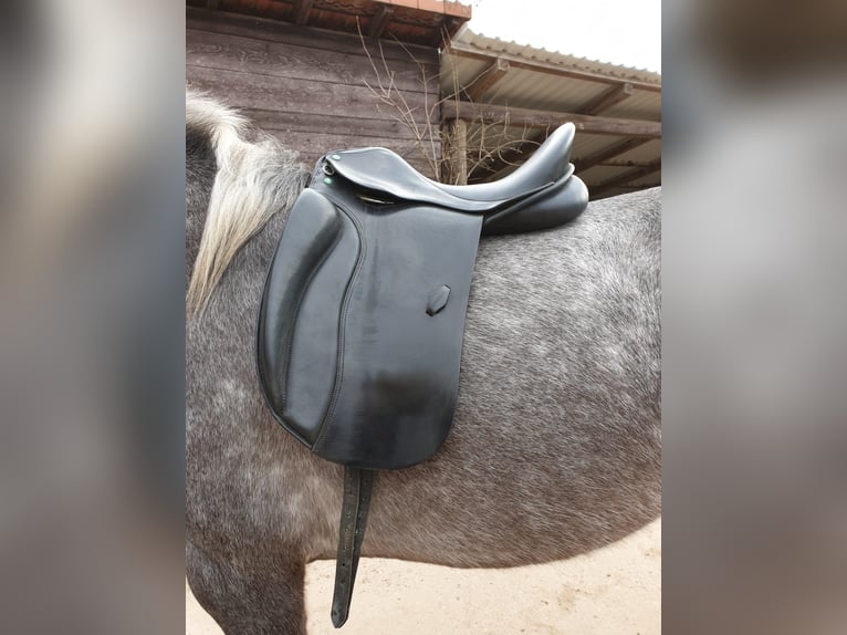 Sattel schwarz Ludomar spanisch 18"