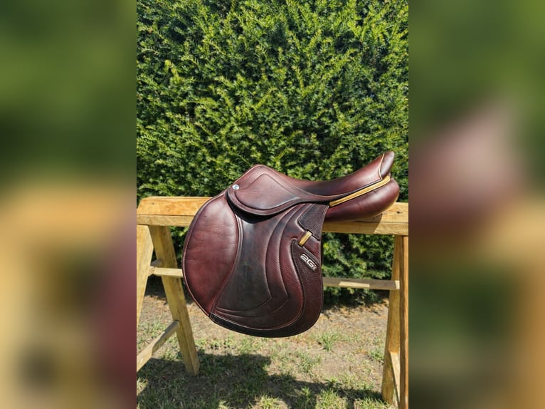 Cwd SE32 Mademoiselle 2gs 17