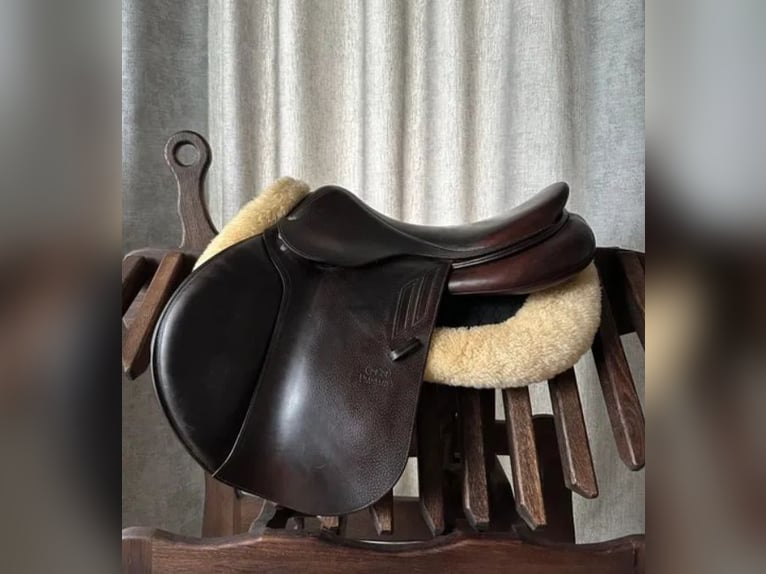 Devoucoux Omega 17,5" Devoucoux Omega 17,5"