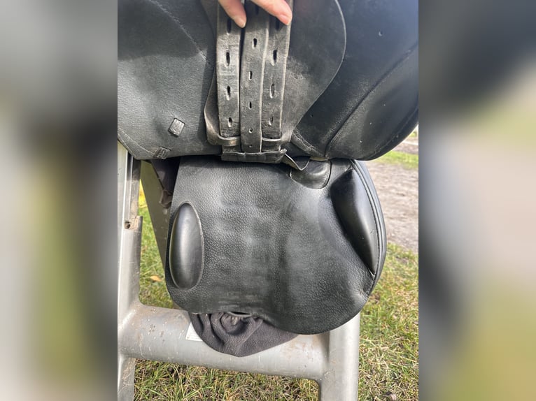 Meredith 18’ (wypada jak 17,5)