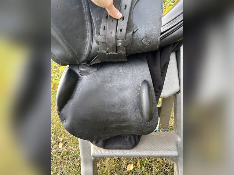 Meredith 18’ (wypada jak 17,5)