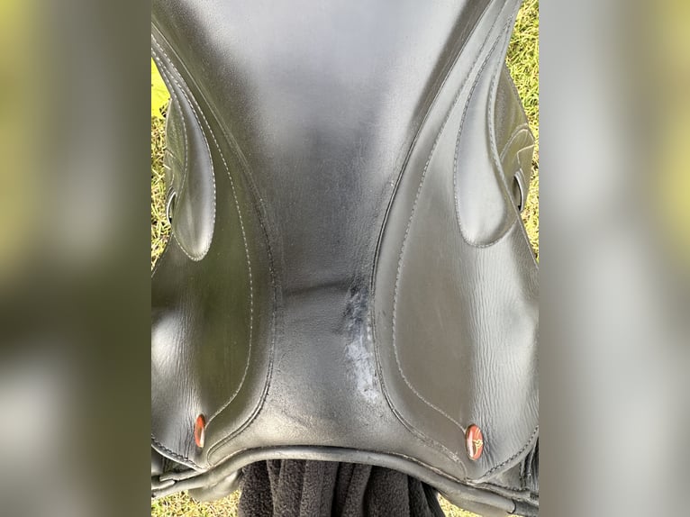 Meredith 18’ (wypada jak 17,5)