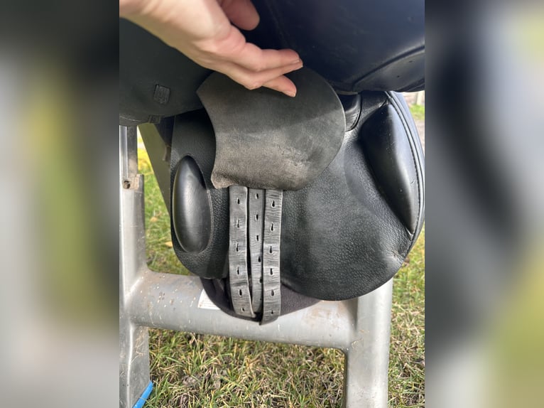 Meredith 18’ (wypada jak 17,5)