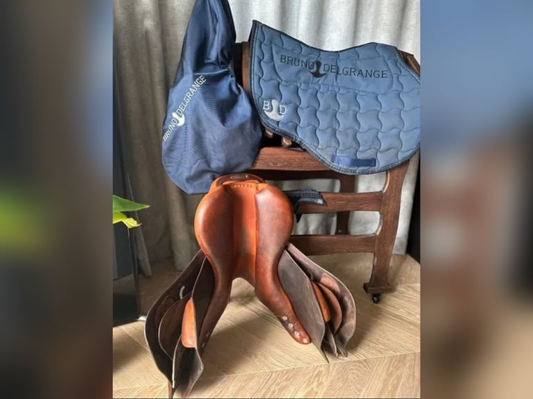 Siodło Bruno Delgrange Virtuose 17,5" Siodło Bruno Delgrange Virtuose 17,5"