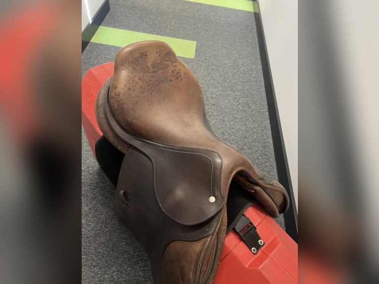 Siodło skokowe CWD SE02 17,5" 3C / Stan dobry /