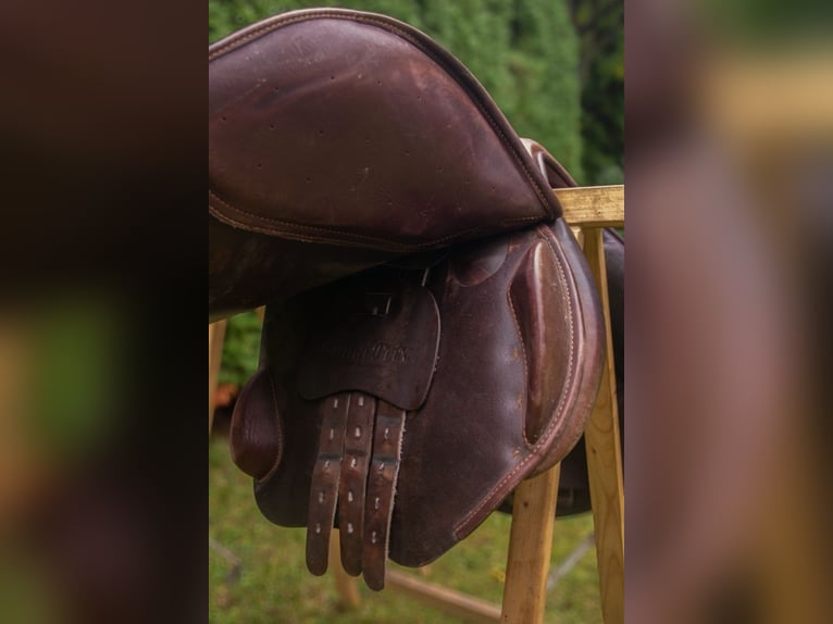 Siodło skokowe Daw-Mag Grand Prix 17,5" Siodło skokowe Daw-Mag Grand Prix 17,5"