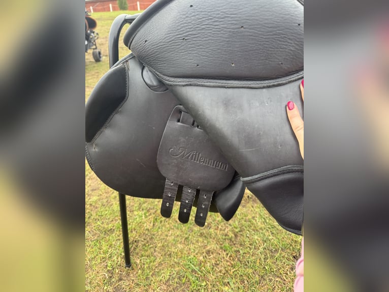 Siodło skokowe Daw mag millenium de luxe 