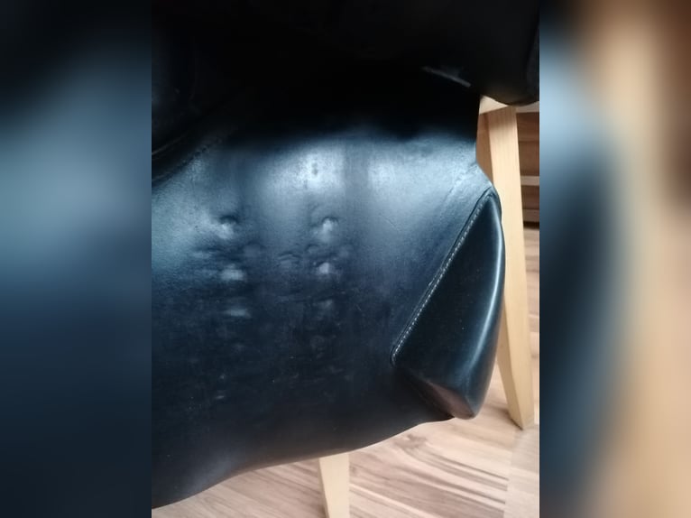 Siodło skokowe Kieffer Norbert Koof At Exclusive 17"