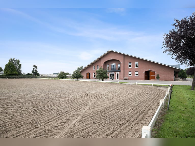 A beautiful equestrian accommodation with plenty of possibilities for the professional horse lover!