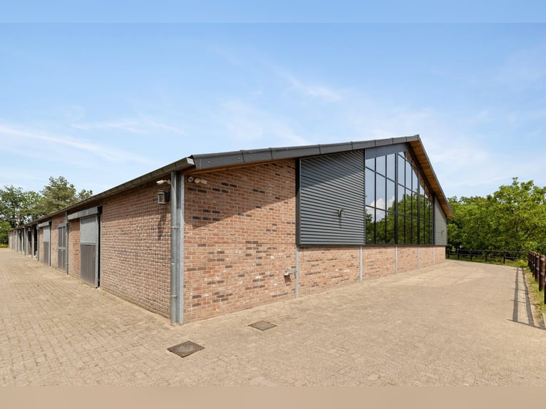 A beautiful equestrian facility, situated on a dream location!