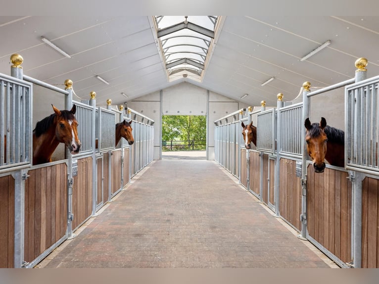 A beautiful equestrian facility, situated on a dream location!