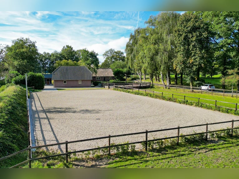 Amazing location for horselovers