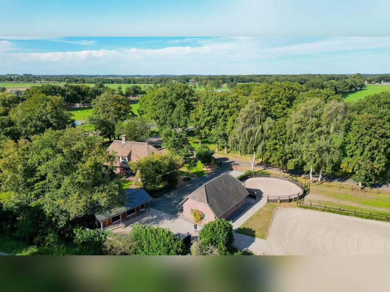 Amazing location for horselovers