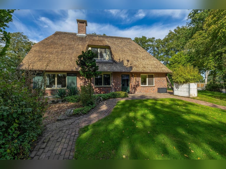 Amazing location for horselovers