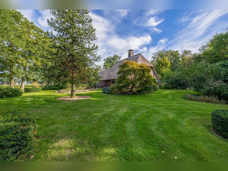 Amazing location for horselovers