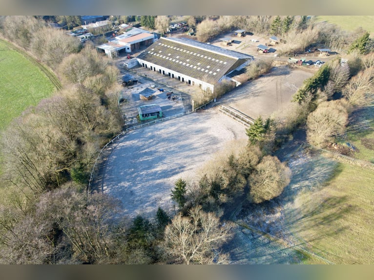 Atrakcyjny ośrodek jeździecki pomiędzy Montabaur a Limburg