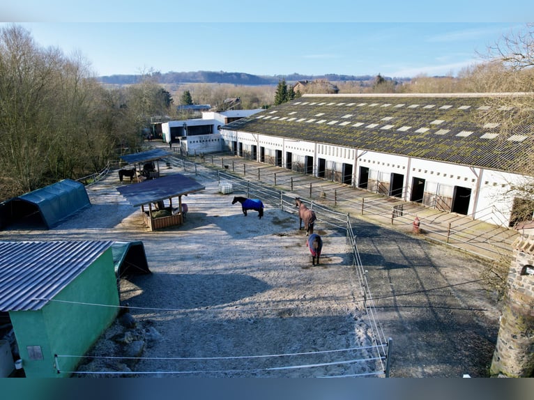 Atrakcyjny ośrodek jeździecki pomiędzy Montabaur a Limburg