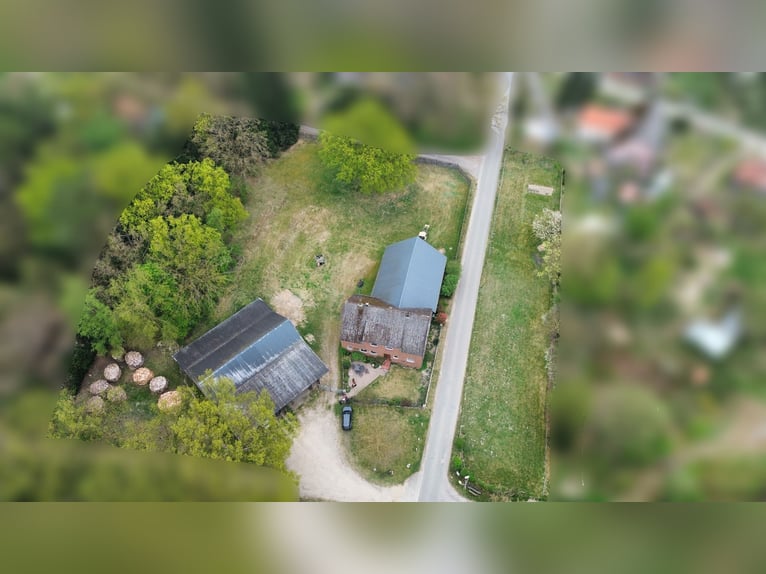 Attraktiver Resthof mit großer Scheune, Stallgebäude und Wiese im schönen Wendland