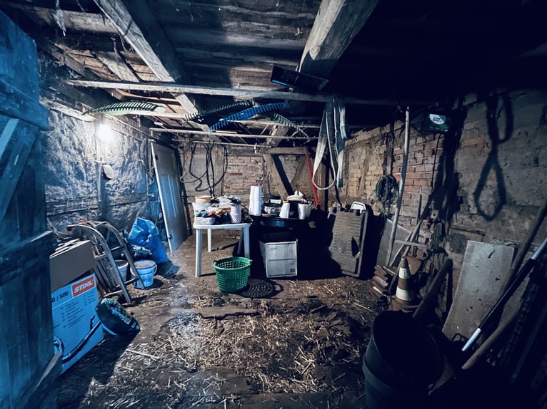 Attraktiver Resthof mit großer Scheune, Stallgebäude und Wiese im schönen Wendland