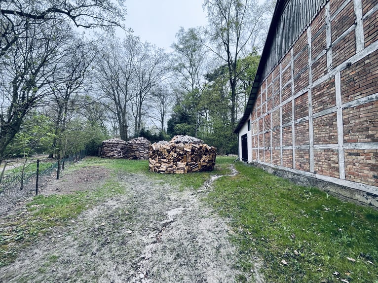 Attraktiver Resthof mit großer Scheune, Stallgebäude und Wiese im schönen Wendland