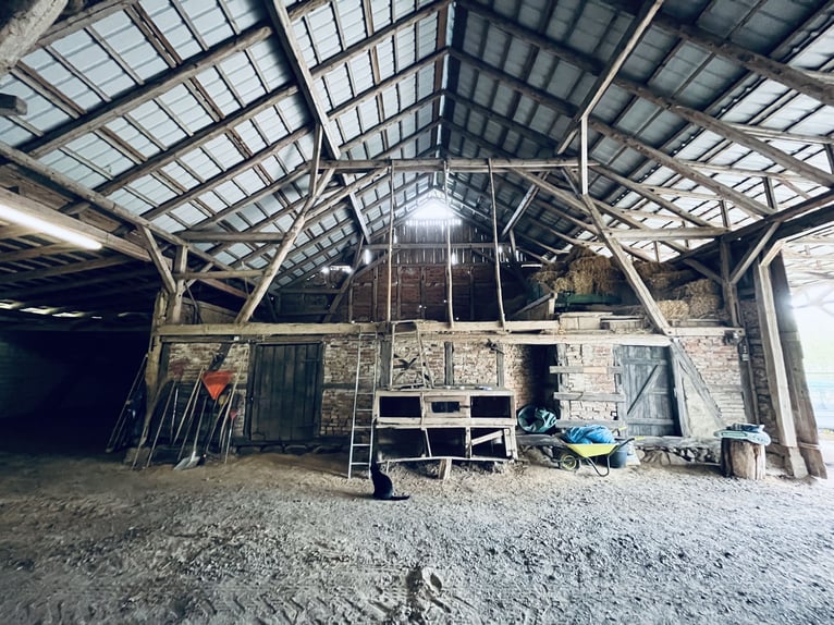 Attraktiver Resthof mit großer Scheune, Stallgebäude und Wiese im schönen Wendland