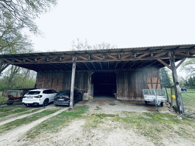 Attraktiver Resthof mit großer Scheune, Stallgebäude und Wiese im schönen Wendland