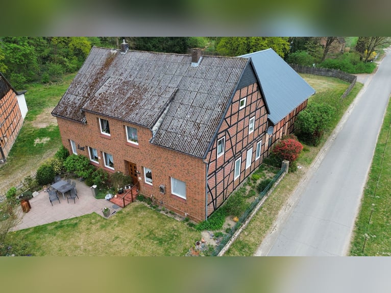 Attraktiver Resthof mit großer Scheune, Stallgebäude und Wiese im schönen Wendland