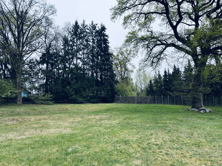 Attraktiver Resthof mit großer Scheune, Stallgebäude und Wiese im schönen Wendland