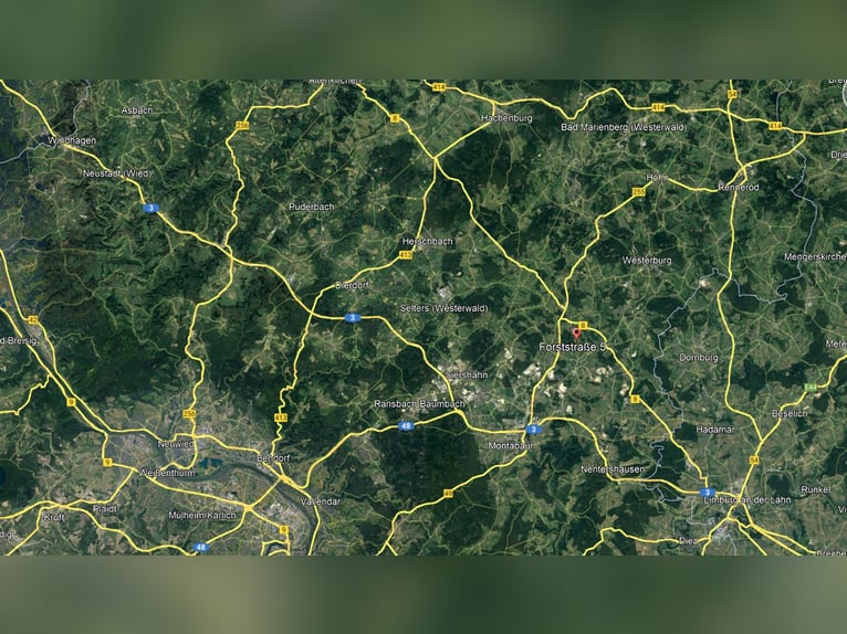 Auserlesene Pferdeimmobilie mit viel Potenzial in ländlicher Lage Nähe Montabaur