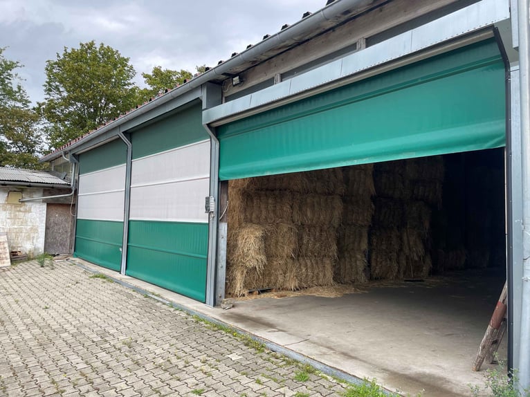 Aussiedlerhof mit viel Wohnraum in idyllischer Alleinlage