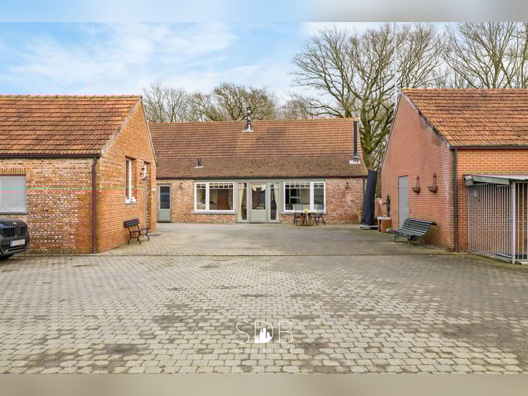 Authentieke hoeve met diverse bijgebouwen en graslanden op 93.155m² - 2300 Turnhout