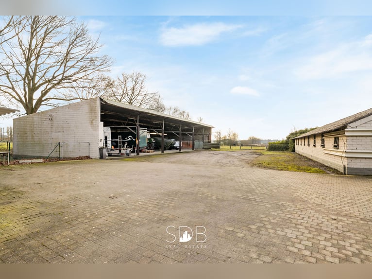 Authentieke hoeve met diverse bijgebouwen en graslanden op 93.155m² - 2300 Turnhout