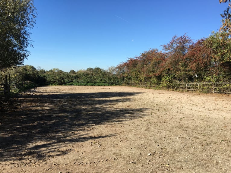 Bauernhof ca 650 qm Wohnfläche u.weit.Ausbaureserve