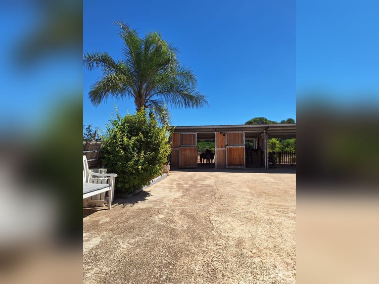 BEAUTIFUL COUNTRYHOUSE FOR LIVING WITH HORSES - WUNDERSCHÖNES LANDHAUS ZUR PRIVATEN PFERDEHALTUNG