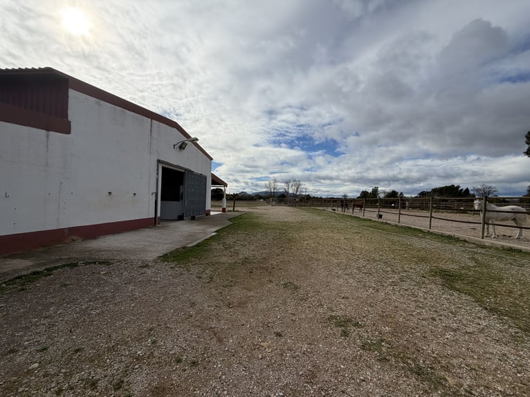 Centrum Jeździeckie w Castellón Norte
