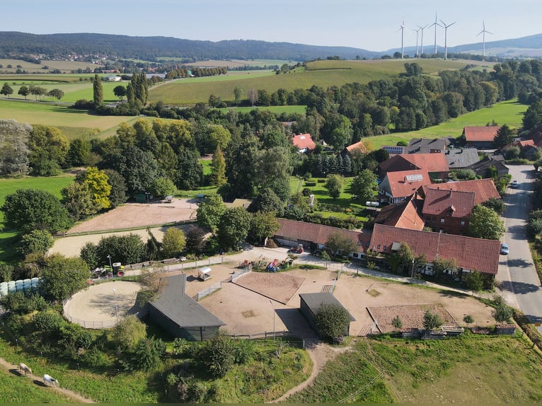 Charmantes Bauernhaus mit artengerechter Pferdehaltung und vielen weiteren Möglichkeiten