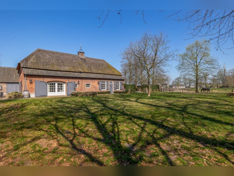 Charming Equestrian Property with Excellent Facilities in a Unique Setting