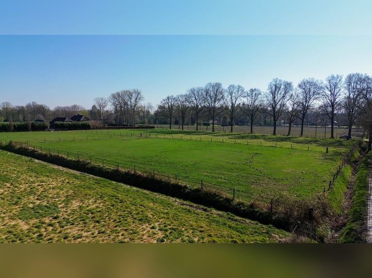 Charming Equestrian Property with Excellent Facilities in a Unique Setting