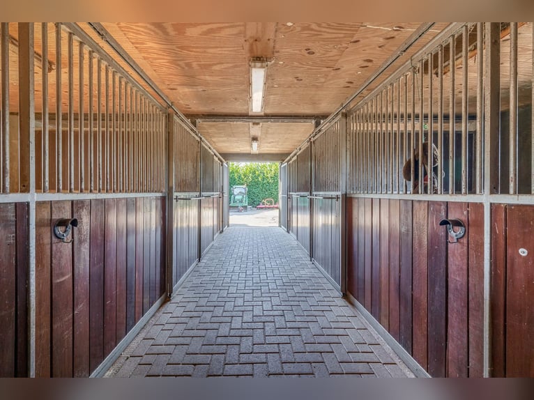 Charming Equestrian Property with Excellent Facilities in a Unique Setting