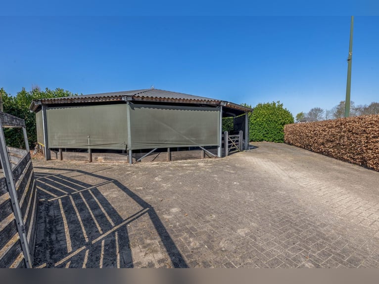 Charming Equestrian Property with Excellent Facilities in a Unique Setting