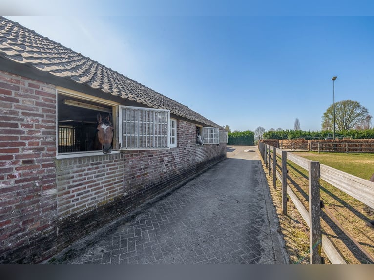 Charming Equestrian Property with Excellent Facilities in a Unique Setting