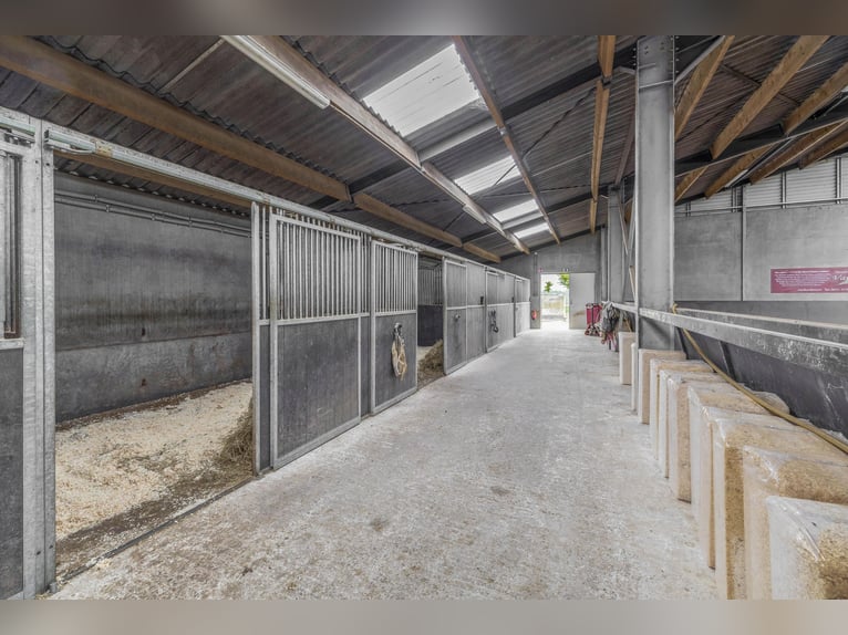 COMPACT EQUESTRIAN COMPLEX