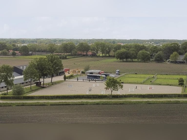 Complete equestrian accommodation located on a plot of 2 hectares in the outskirts