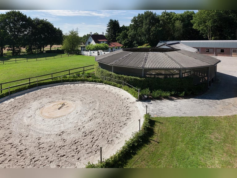 Complete Equestrian Facility with Residence and Extensive Amenities