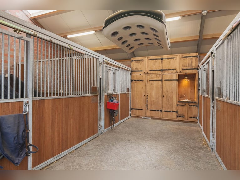 Complete Equestrian Facility with Residence and Extensive Amenities